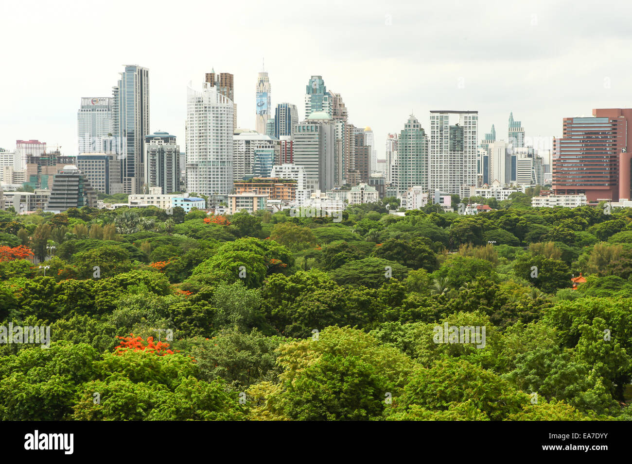 Skyline von Bangkok Lumpini Park Stockfoto