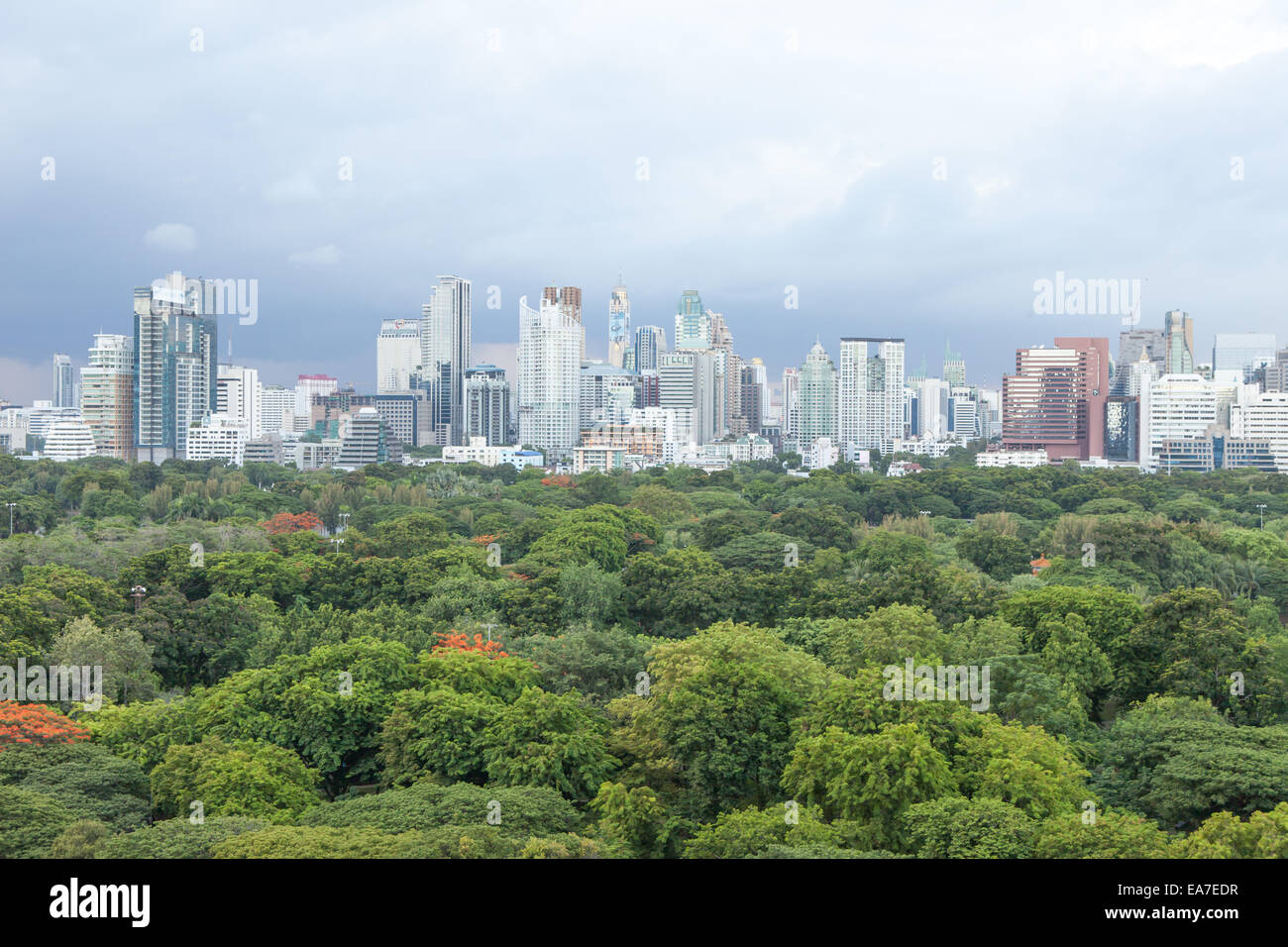 Skyline von Bangkok Lumpini Park Stockfoto