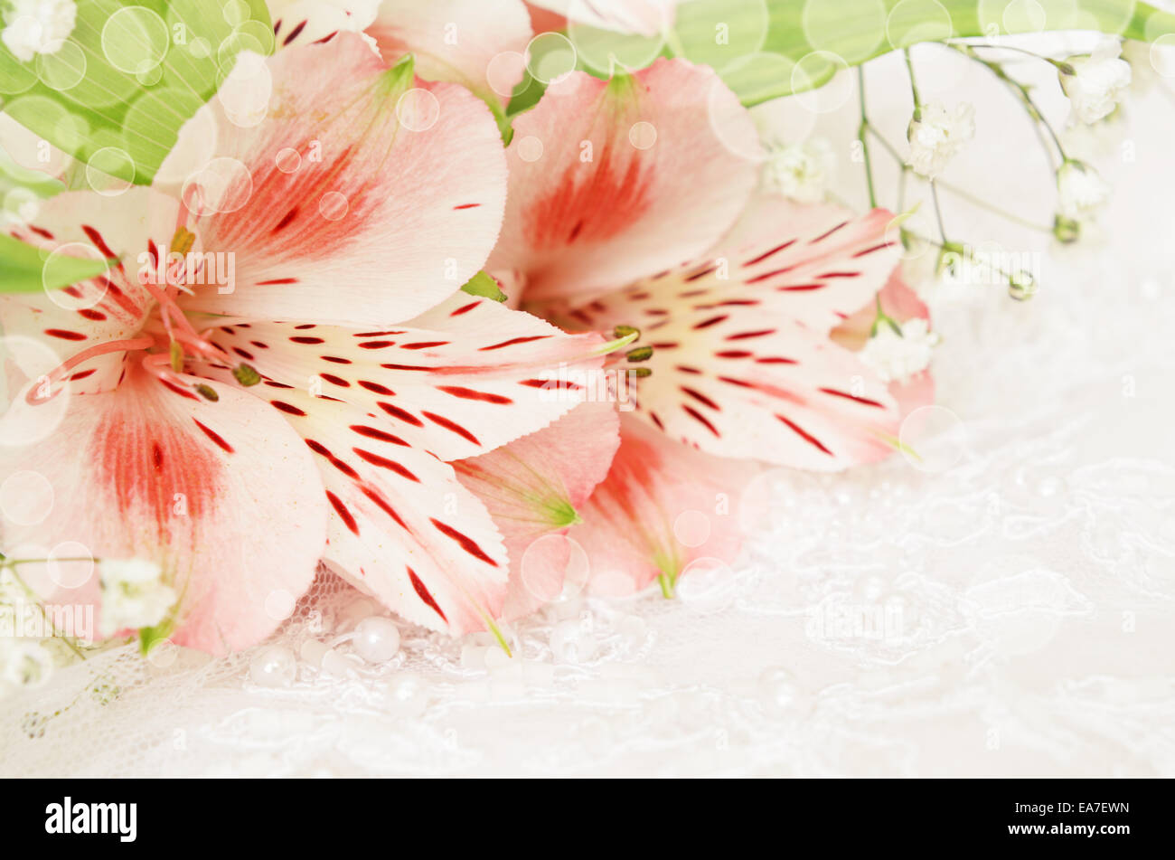 Nahaufnahme von rosa Blüten in einer Ecke des weißen Hochzeit Hintergrund Stockfoto