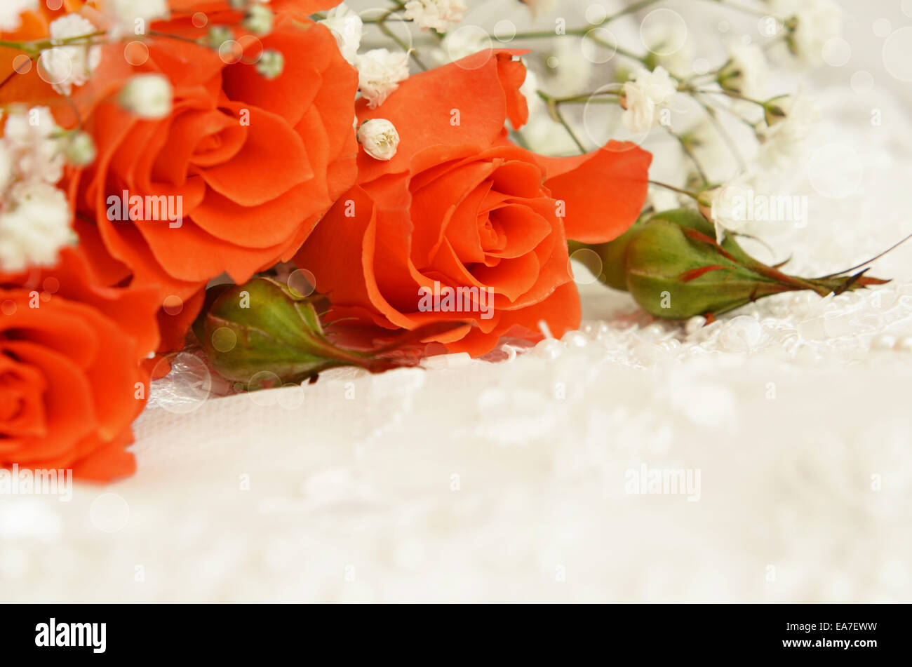 Orange Rosen auf weißes Hochzeitskleid Spitze Stockfoto