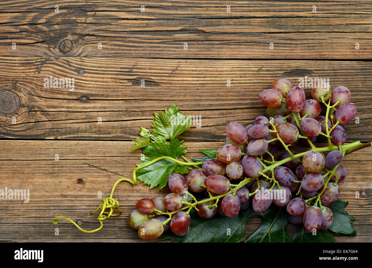 Weintraube auf alten verwitterten Holztisch Stockfoto