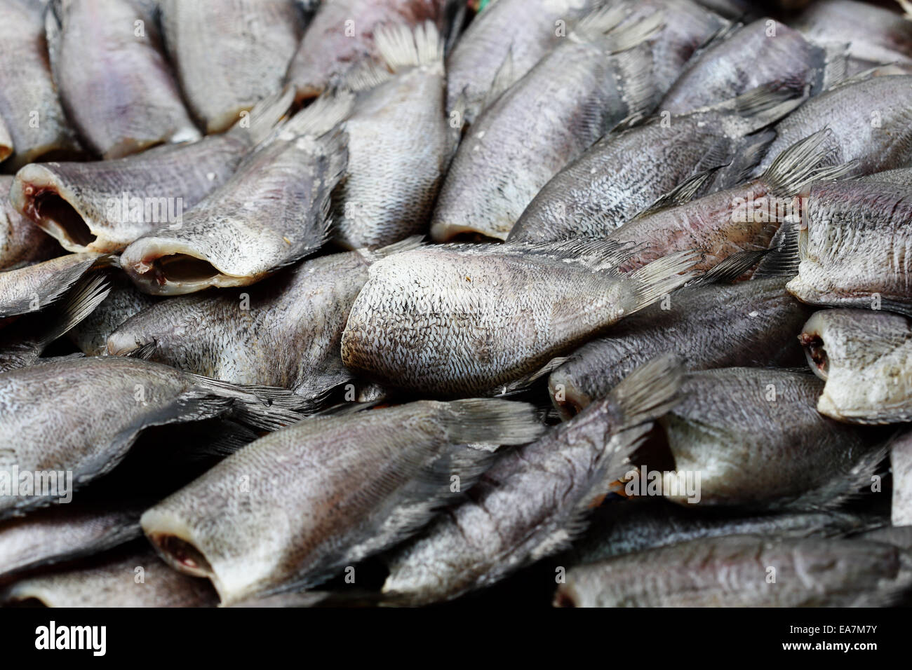 die Meeresfische konservieren, indem Salz bei Suppen, thailand Stockfoto