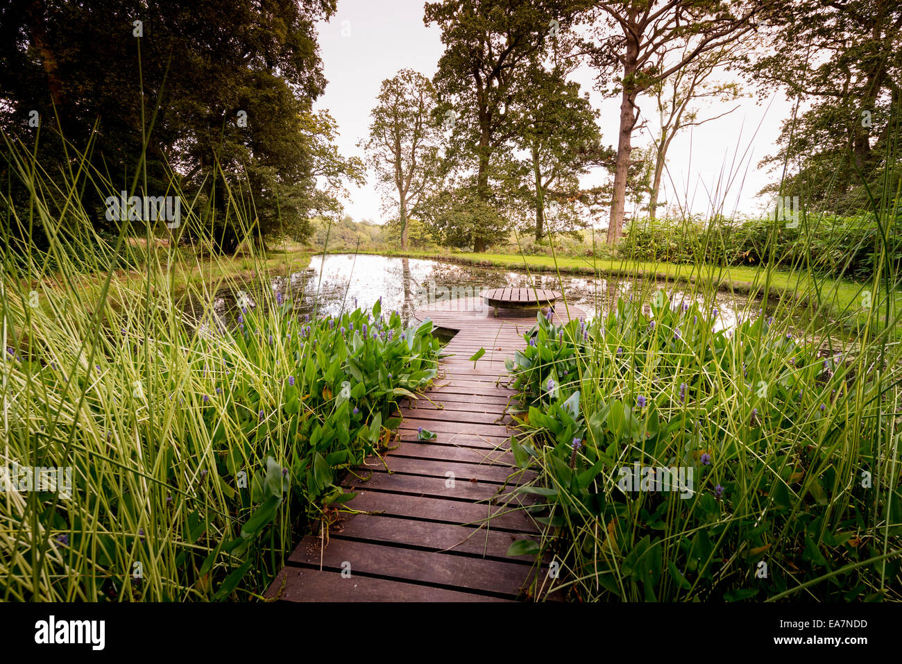 Der Garten des Komponisten Ned Bigham in seinem Haus West Sussex - Bignor Park House. Stockfoto