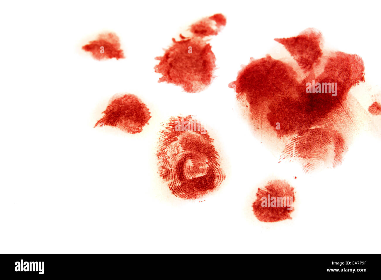 Blut Fingerabdruck Fingerabdruck isolierten auf weißen Hintergrund Stockfoto