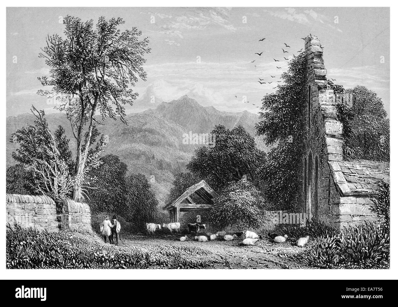 Cader Idris aus Kymmer Abbey in der Nähe von Dolgelly um 1830 Stockfoto