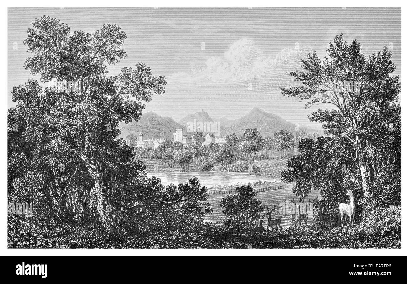 Welch Pool von Park Powis Castle Montgomeryshire um 1830 Stockfoto