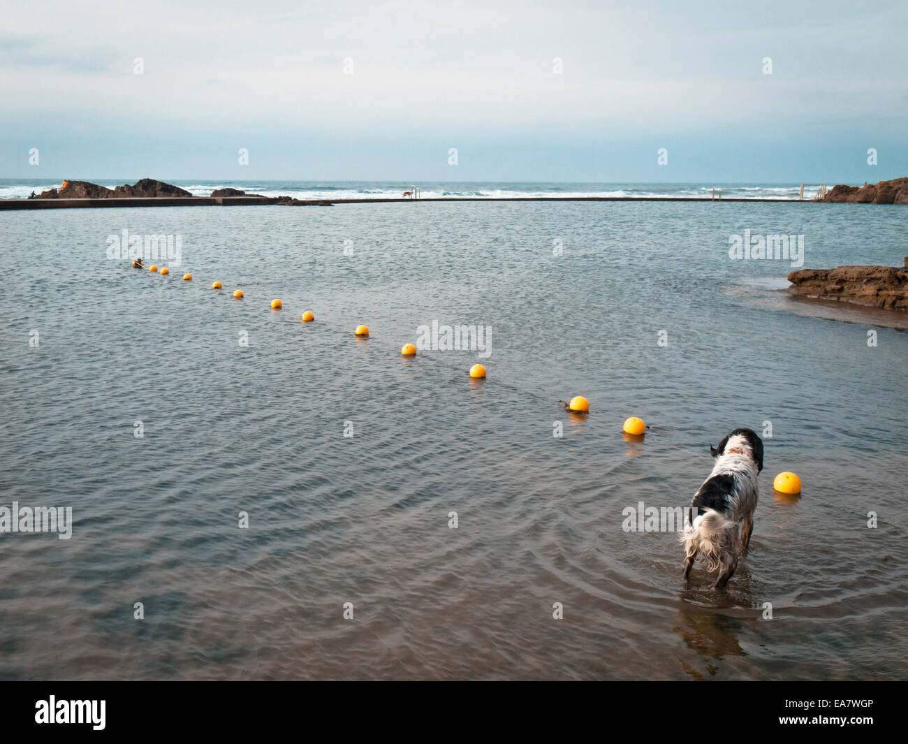 Bude Meer Pool (Cornwall) Stockfoto