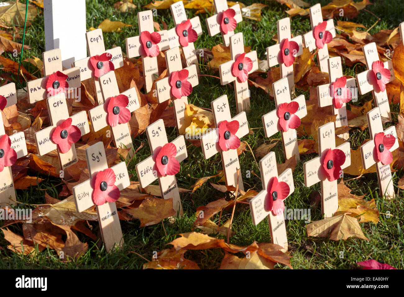 Gedenktag Kreuze und Mohn, Gedenkgarten George Square, Glasgow, Scotland, UK Stockfoto