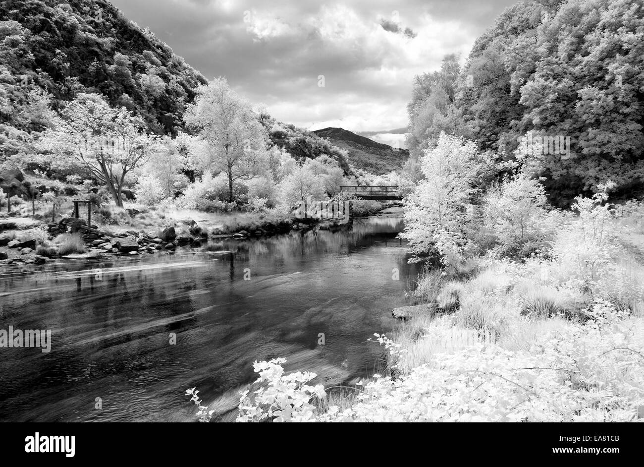 Fluss-Abfluss am Steg Llyn (See) Dinas Nantgwynant Tal, Snowdonia National Park Gwynedd North Wales UK, späten Frühjahr. Stockfoto
