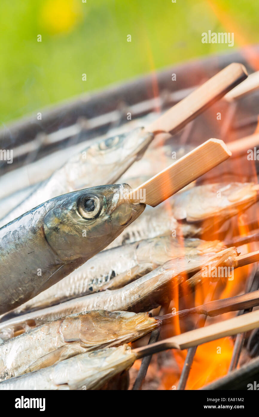 Leckere gegrillte Sardins auf die Verbrennung von Kohle Stockfoto