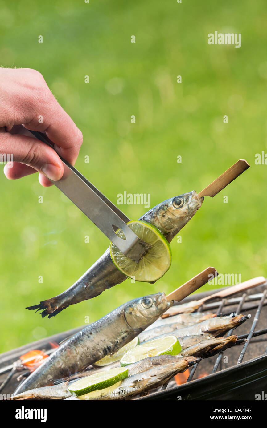 Leckere gegrillte Sardins auf die Verbrennung von Kohle Stockfoto
