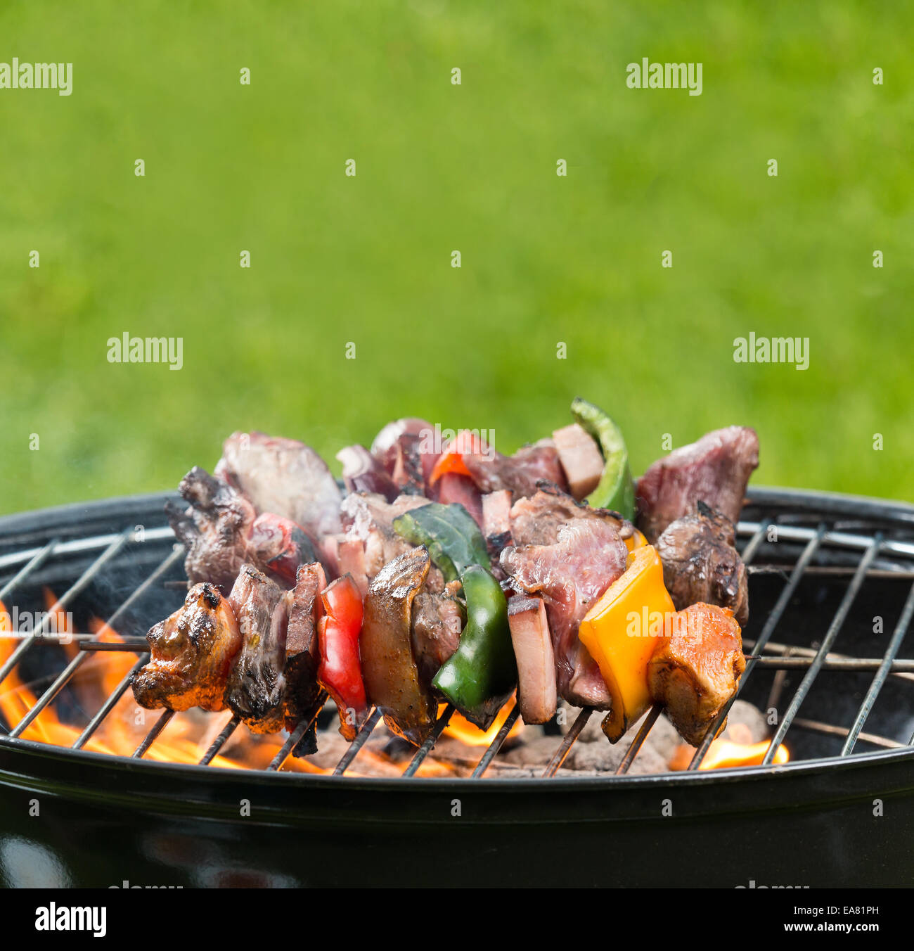 Fleisch und Gemüse-Spieß auf Grill mit dem Feuer Stockfoto