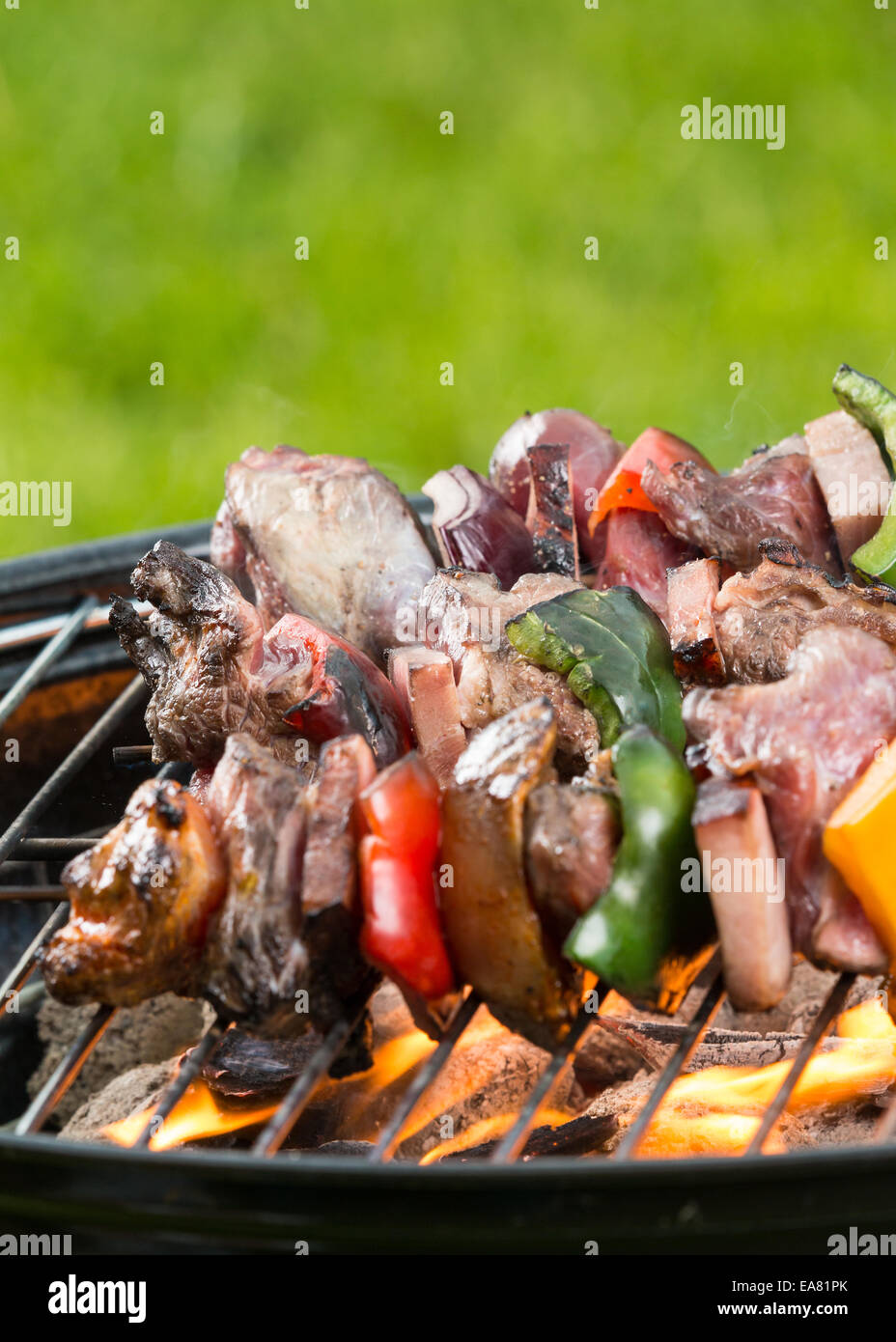 Fleisch und Gemüse-Spieß auf Grill mit dem Feuer Stockfoto