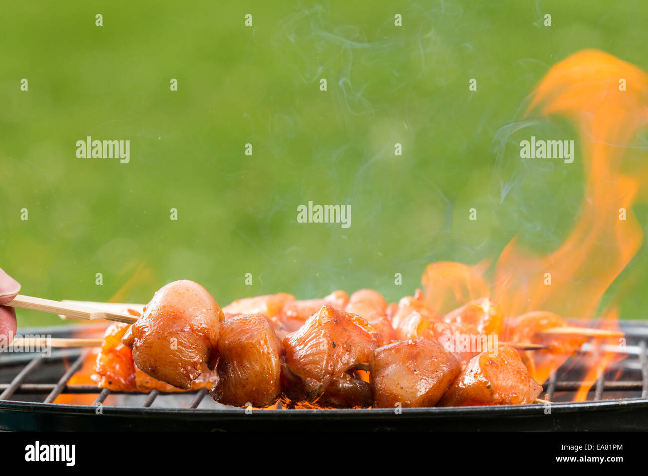 Leckere gegrillte Hähnchen-Spieße in Brand Stockfoto
