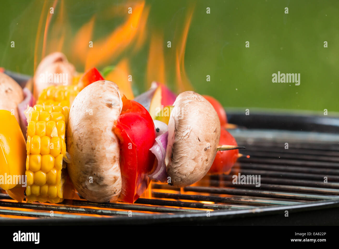 Leckere gegrillte vegetarische Spieße auf glühende Kohlen Stockfoto