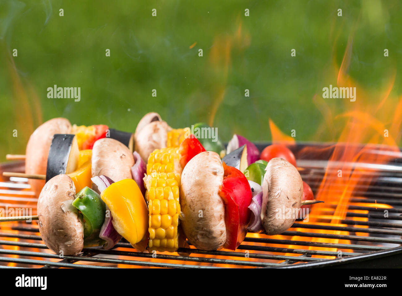 Leckere gegrillte vegetarische Spieße auf glühende Kohlen Stockfoto