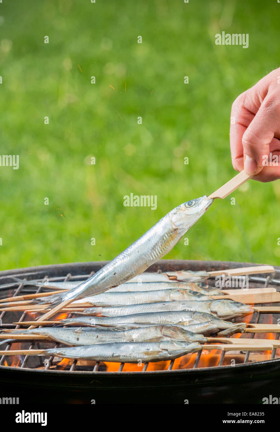 Leckere gegrillte Sardins auf die Verbrennung von Kohle Stockfoto