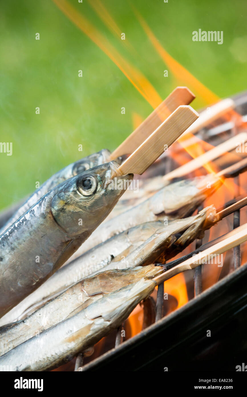 Leckere gegrillte Sardins auf die Verbrennung von Kohle Stockfoto