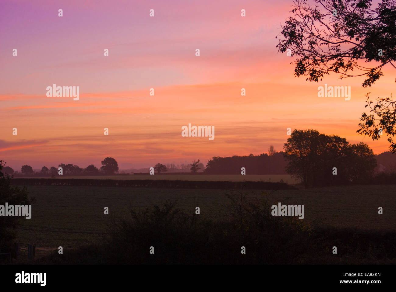 Früh am Morgen in Halesworth, Suffolk Stockfoto