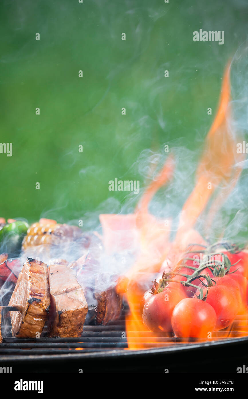 Leckere gegrillte Fleischspieße in Brand Stockfoto
