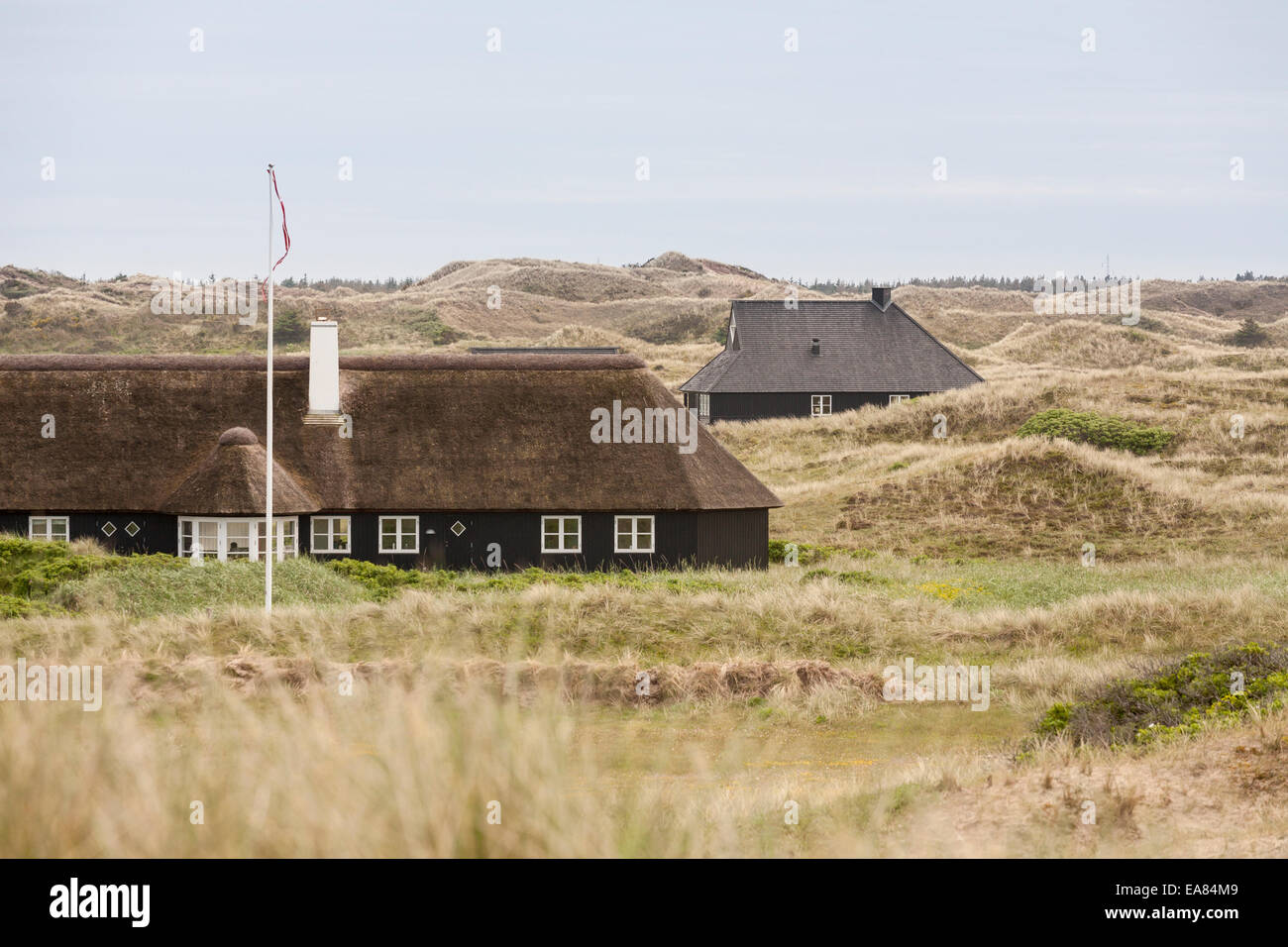 Häuser in den Dünen. Typische schwarze befindet sich eine mit einem Strohdach in den rollenden Dünen um Gammel Skagen. Stockfoto