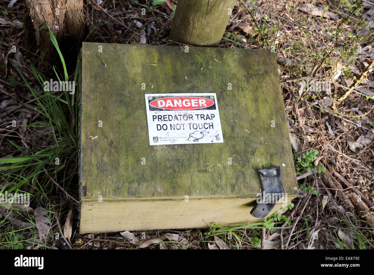 Hölzerne Raubtier Falle box in Neuseeland Wald, Kiwi und andere  einheimische Vögel zu schützen Stockfotografie - Alamy