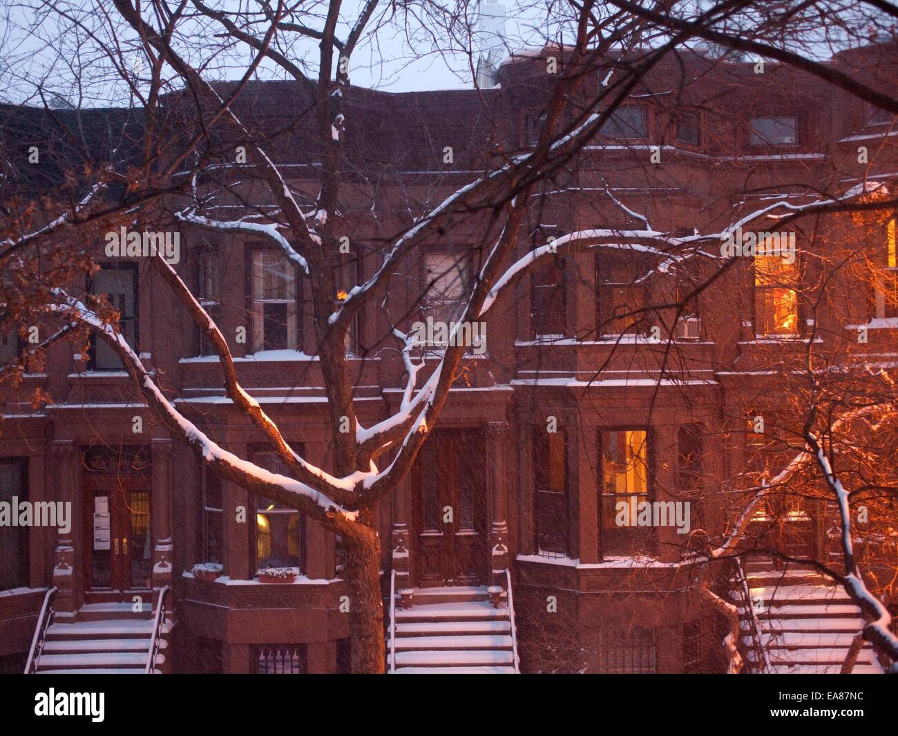 Brooklyn Brownstone-Häusern und Bäumen im Schneesturm in der Dämmerung... Stockfoto