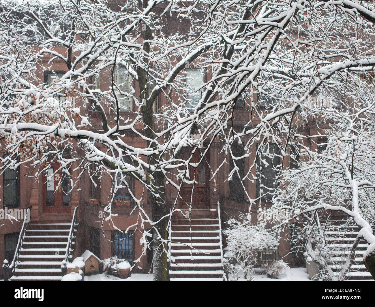Brooklyn Sandsteinhäusern und Baum Zweige im Schneesturm. Stockfoto
