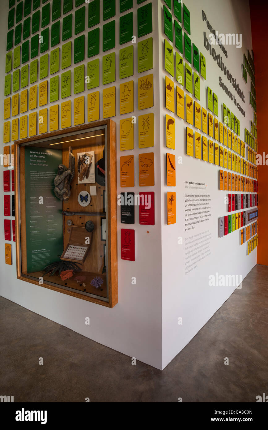 Galerie der Biodiversität bei Biomuseo / Brücke des Lebens Stockfoto