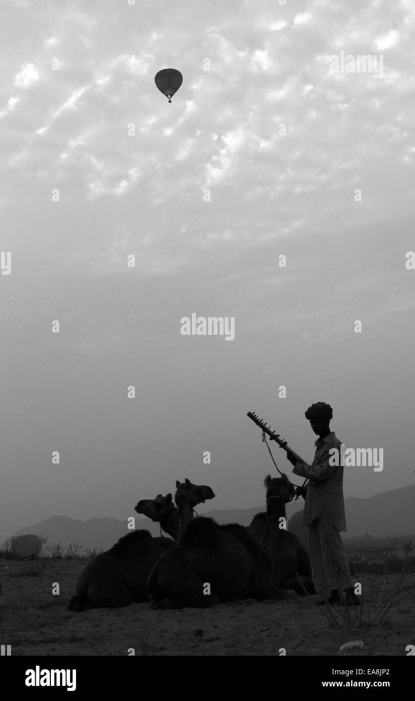 drei Kamele, sitzend, ein Mann, spielen, musikalisch, Instrument, Heißluftballon in Pushkar, Rajasthan, Indien. Stockfoto