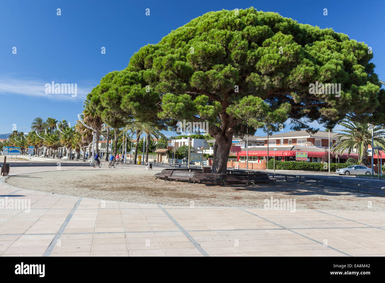 Cambrils, Costa Dorada, Katalonien, Spanien Stockfoto