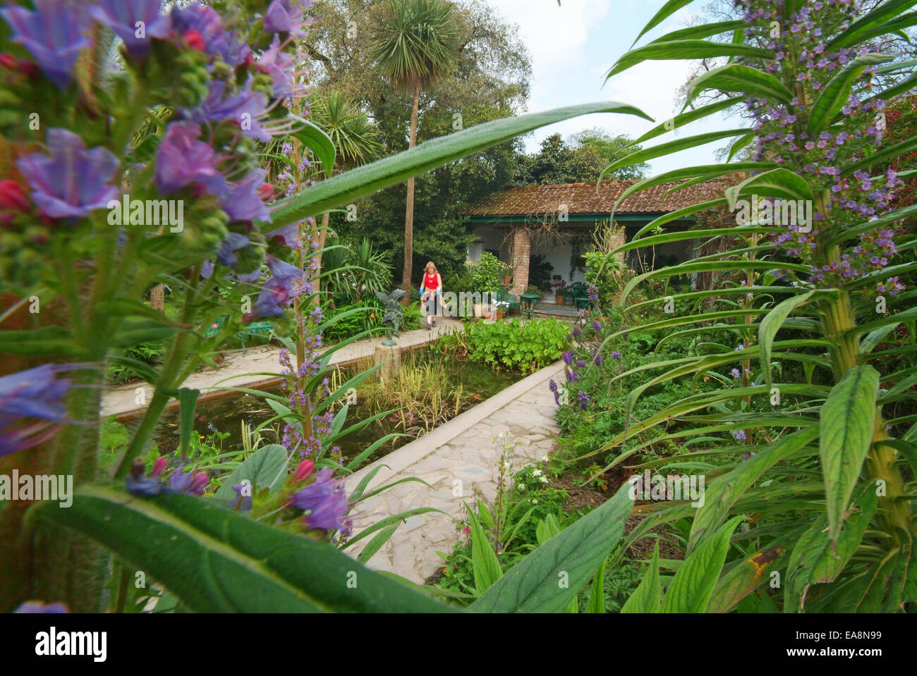 Italienischen Garten bei den Lost Gardens of Heligan in der Nähe von Mevagissey Restormel Mid Cornwall South West England UK Stockfoto