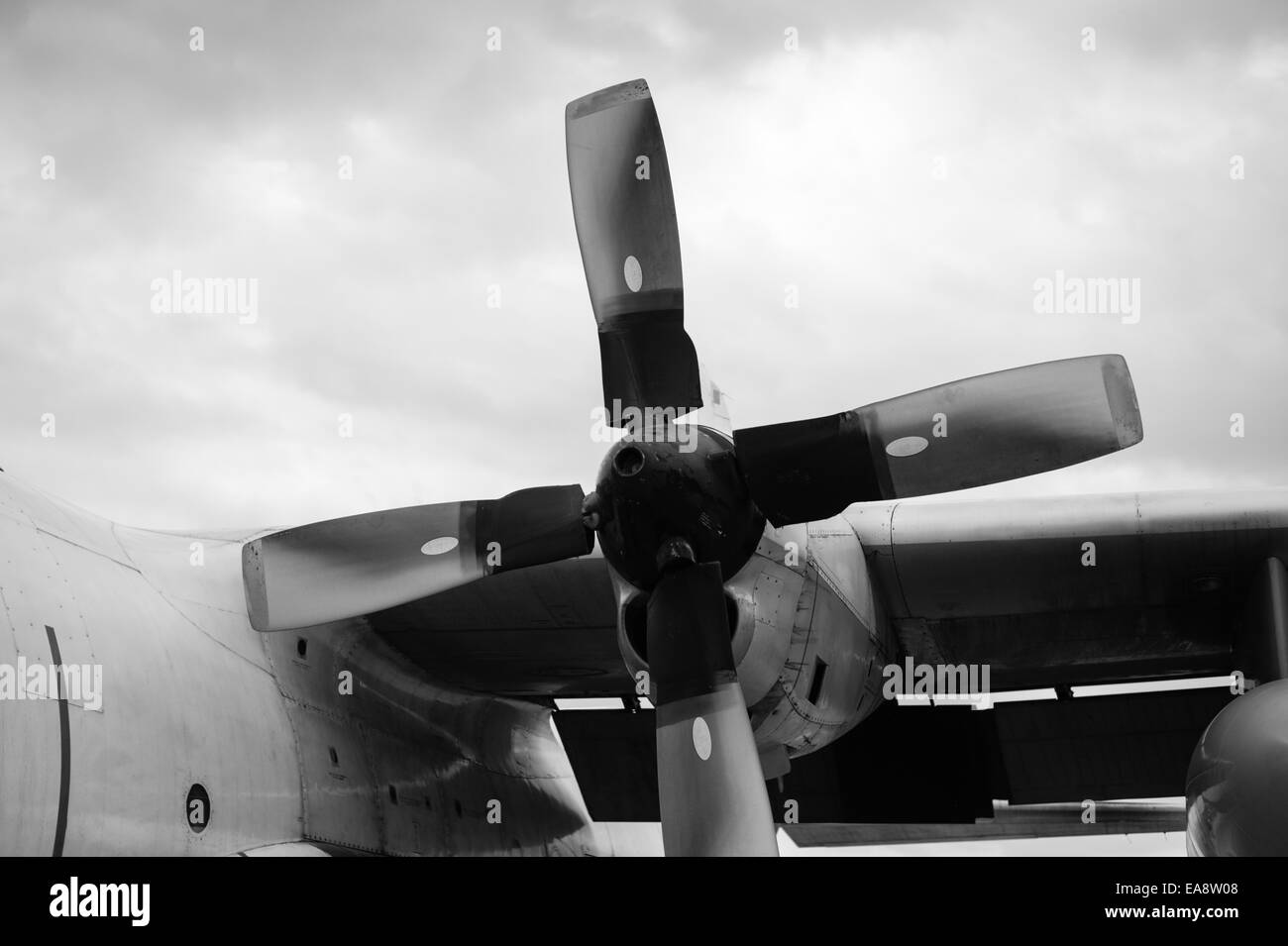 Propeller von einem ägyptischen Luftwaffe C130 auf dem Display an der Malta International Airshow 2014 Stockfoto