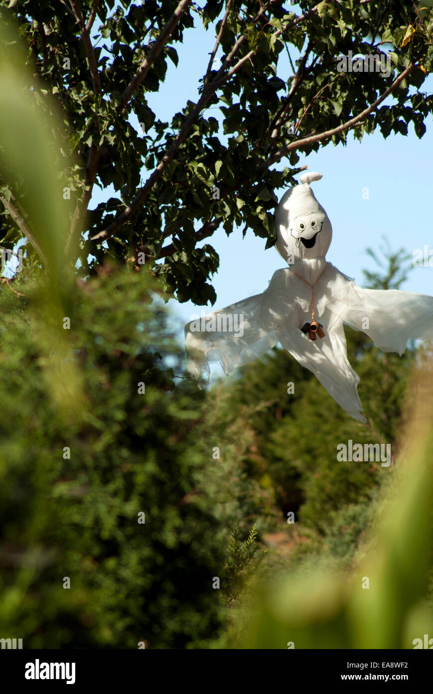 Halloween Ghost Stroh Puppe in den Büschen Mais Kürbisse Garten auf einem sonnigen Spaß Tag bunt grün blaue Himmel Stockfoto