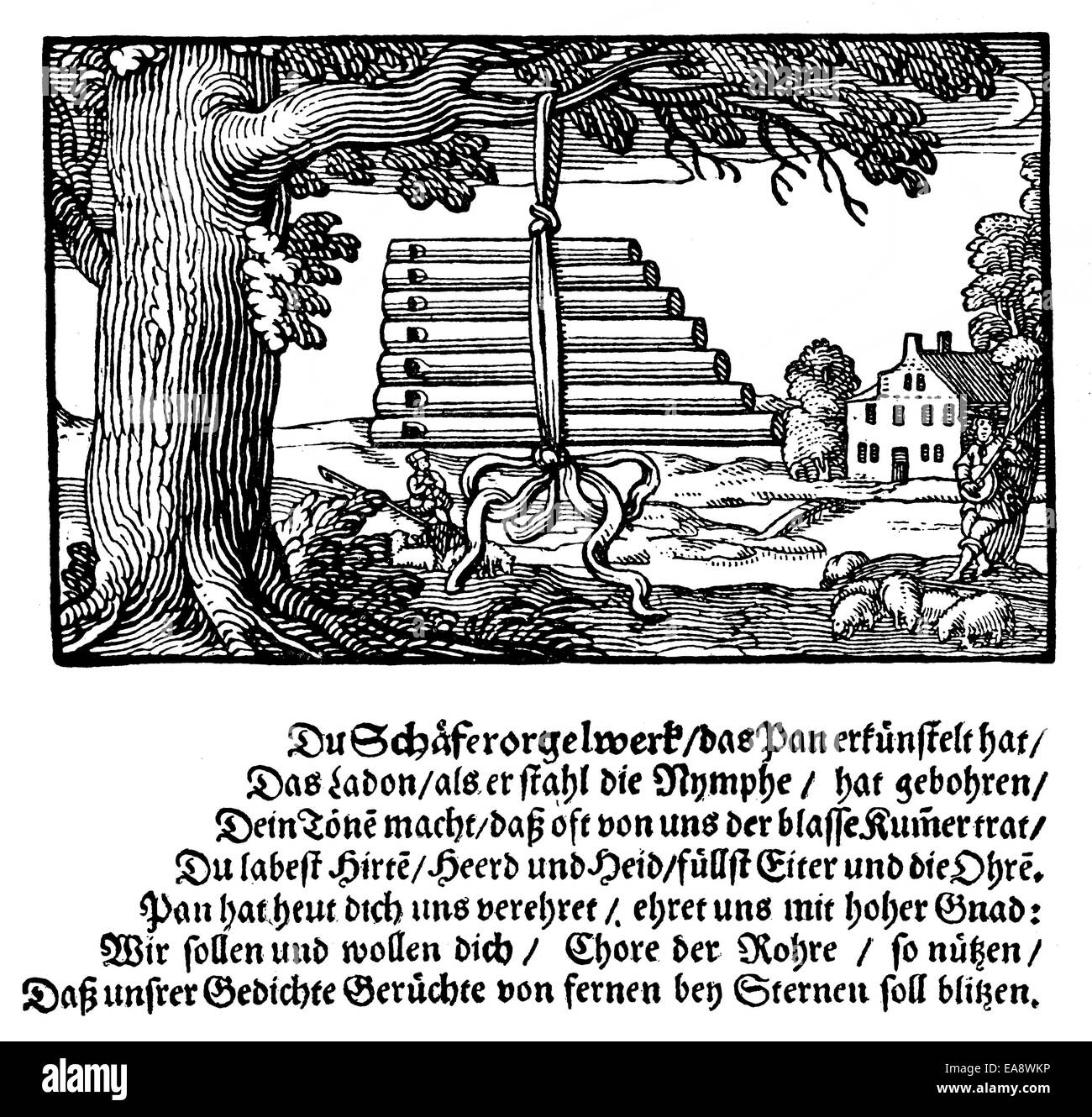 Historischen Drucken von 1645, Symbol des Vereins Pegnesischer Blumenorden der Dichter und ein vollschlank Gedicht im oberen Deutsch w Stockfoto
