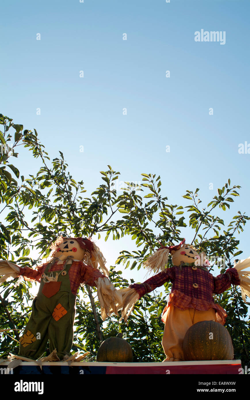 zwei Halloween-Stroh Puppen-Dummys, die Hand in Hand vor einem grünen Busch Blau blickt sonnigen Himmel Lächeln Spaß winken Kinder Sommer Stockfoto