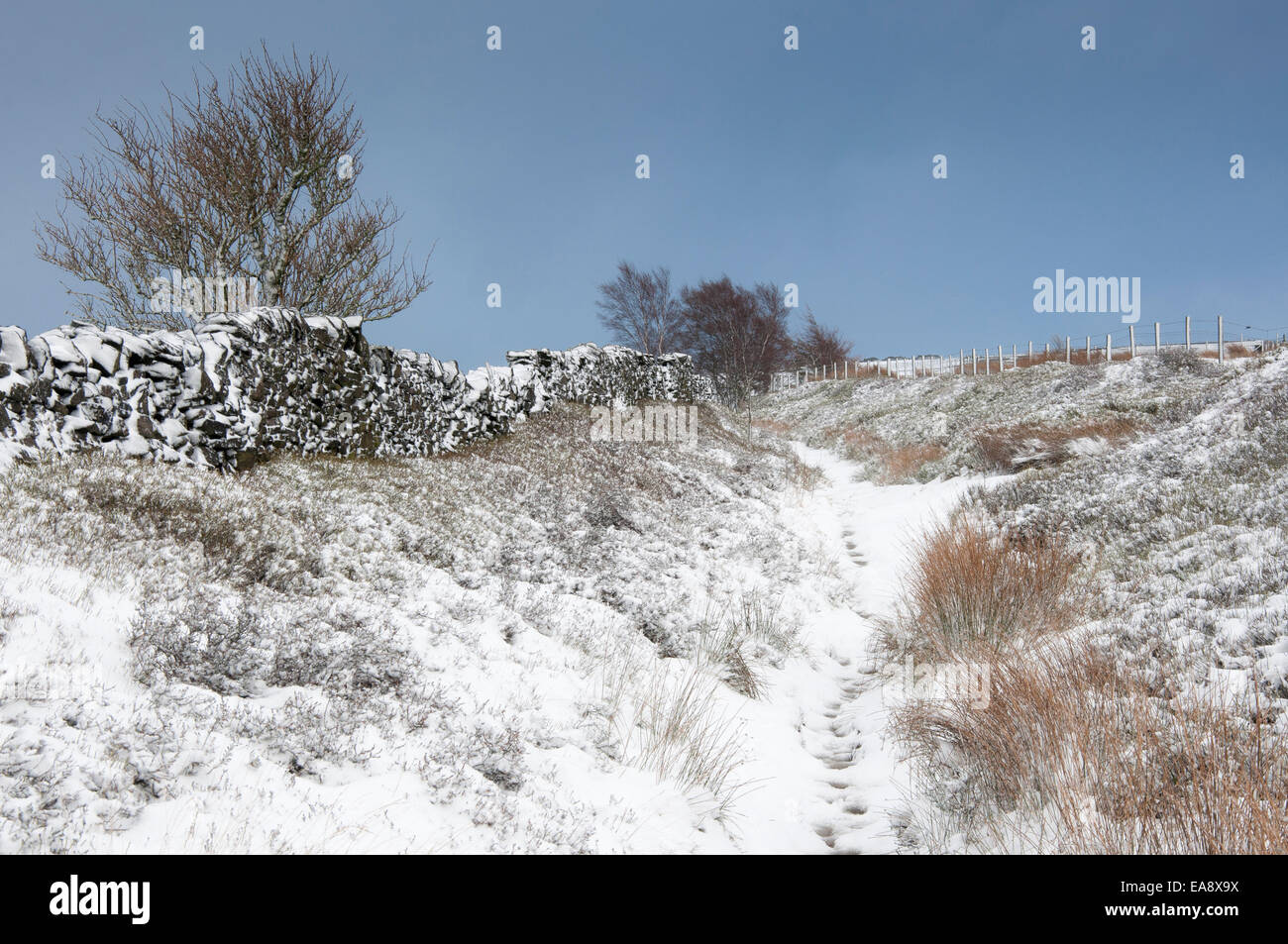 Steinwand neben dem Schnee bedeckt Wanderweg führt zum Coombes Rand Charlesworth, Derbyshire. Stockfoto