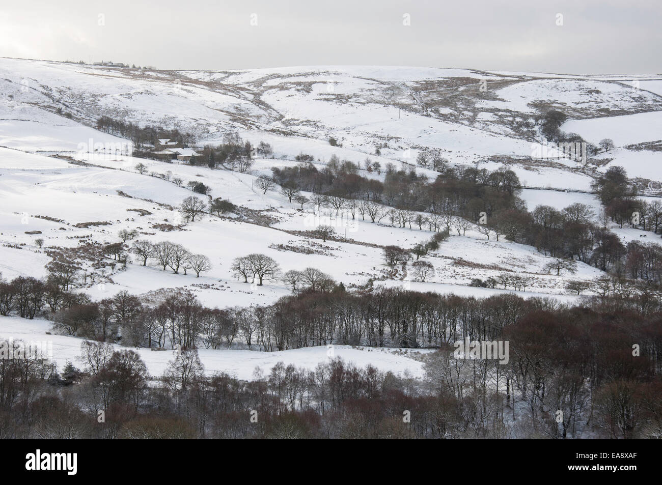 Verschneite englische Landschaft mit Bäumen und Feldern unterhalb Coombes Kante in Charlesworth, Derbyshire. Stockfoto