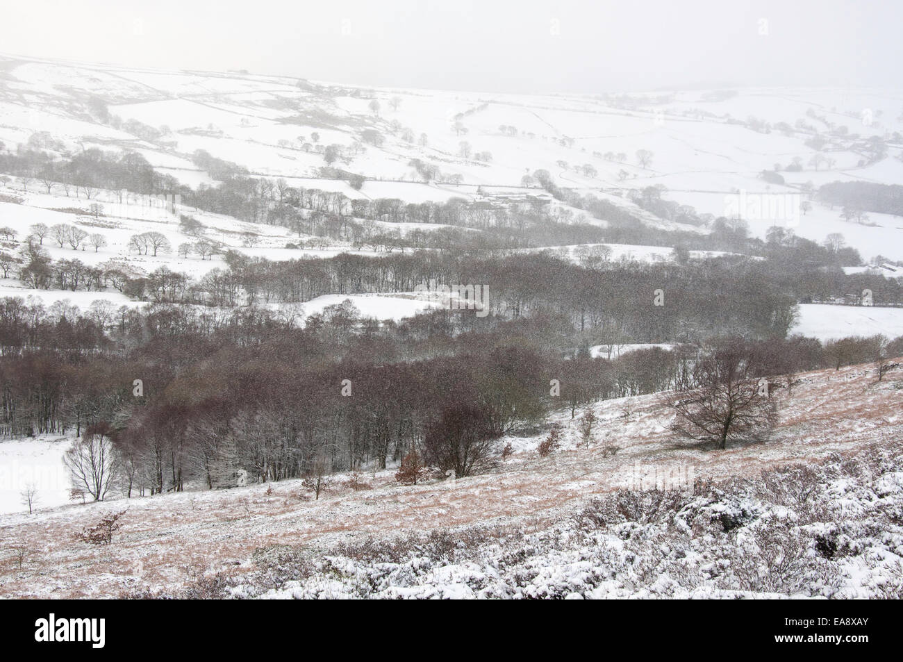 Fallender Schnee auf einer ländlichen Landschaft unterhalb Coombes Kante in Charlesworth, Derbyshire. Stockfoto