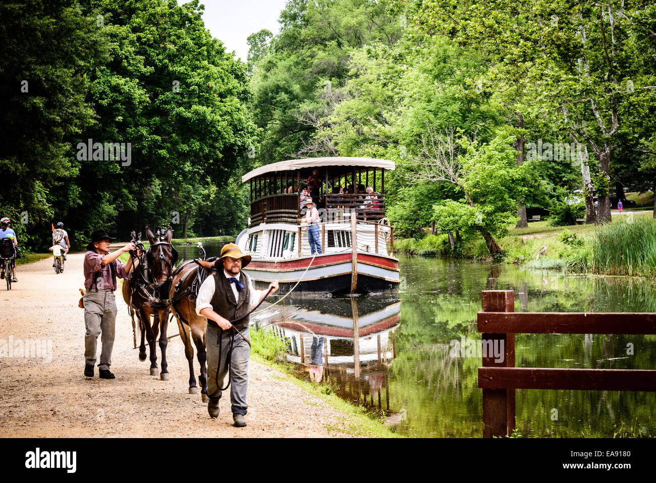 Mule Team und Fahrer ziehen Charles F Mercer, Great Falls Tavern, C & O Kanal, Potomac, Maryland Stockfoto