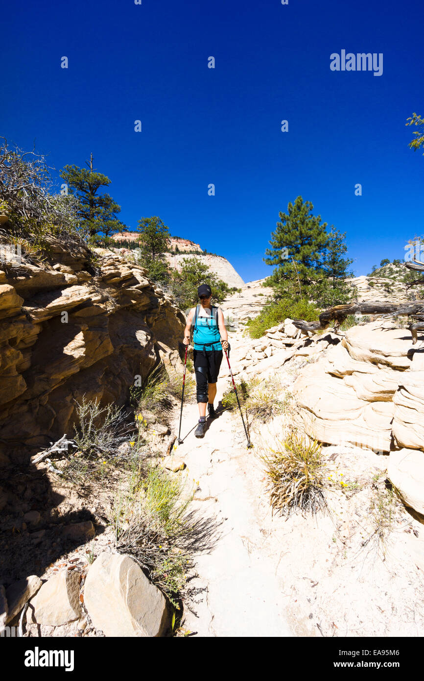 Weibliche Wanderer auf den West Rim Wanderweg. Zion Nationalpark, Utah, USA. Stockfoto