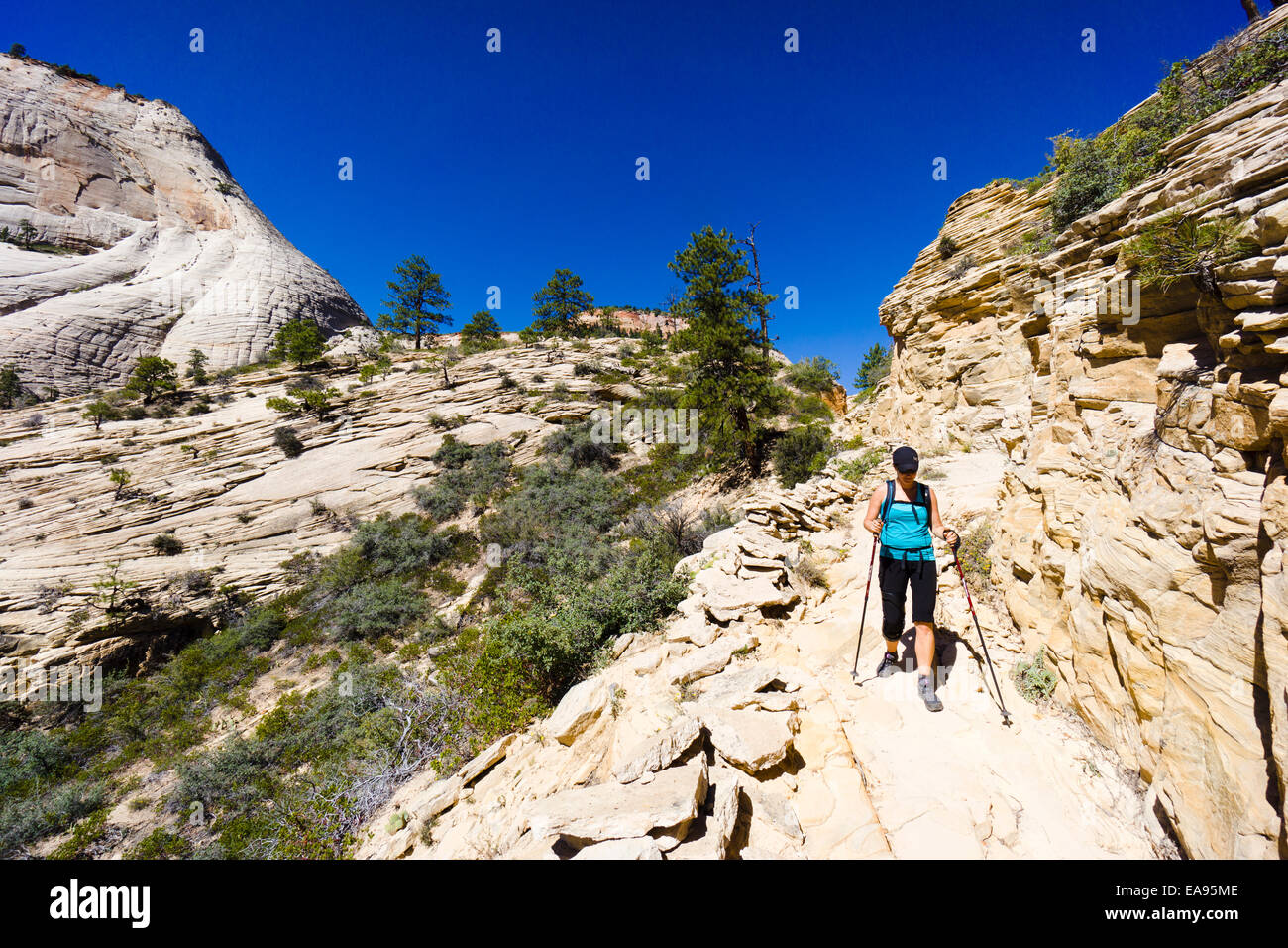 Weibliche Wanderer auf den West Rim Wanderweg. Zion Nationalpark, Utah, USA. Stockfoto