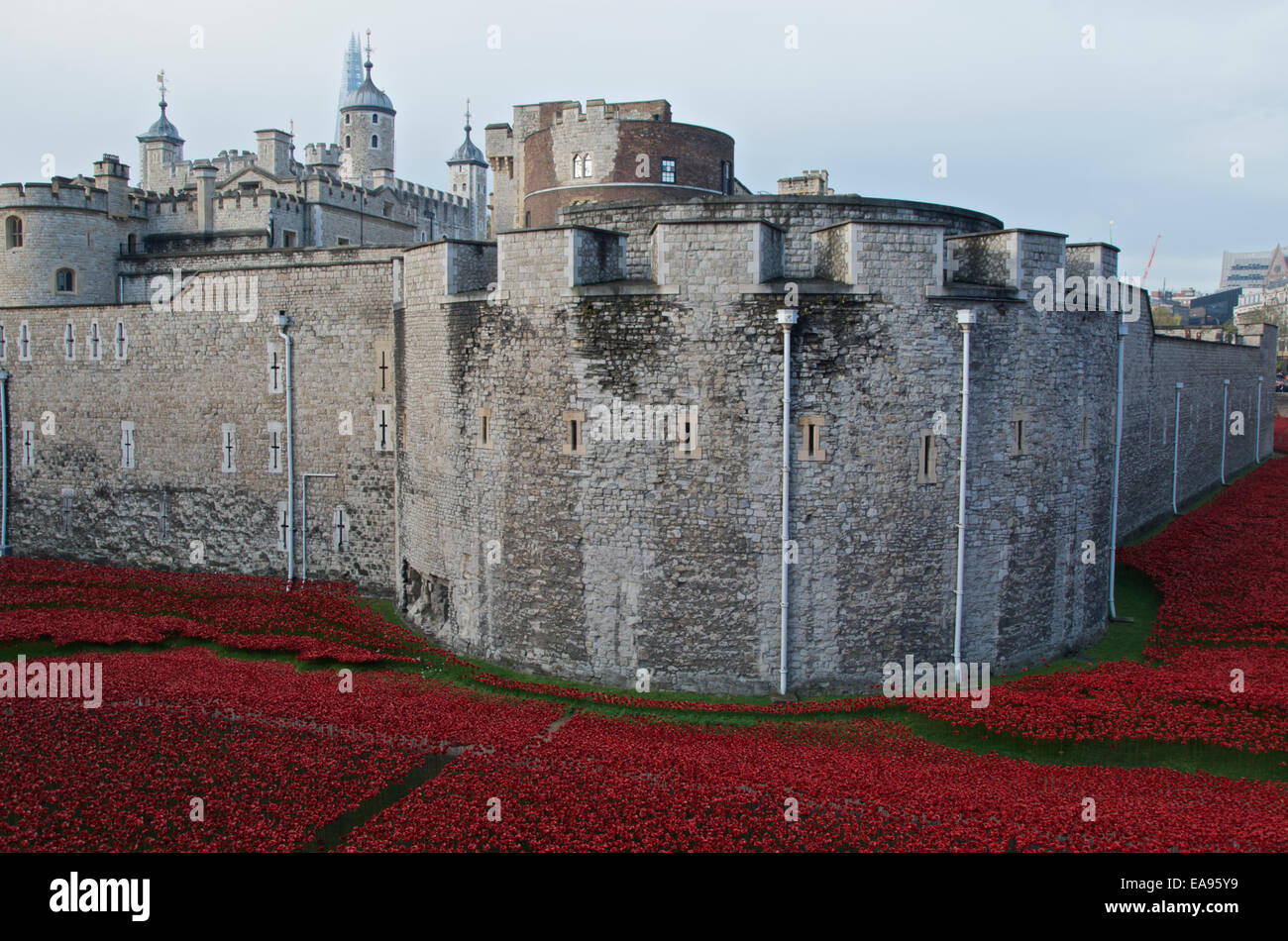Ein Teil der Mohn in den Graben an der Tower of London am Morgen des Gedenkens Sonntag, 9. November 2014. Blut Mehrfrequenzdarstellung Länder und Meere von rot, die erinnert an die Hundertjahrfeier des Beginns des 1. Weltkrieges im Jahre 1914 mit dem Titel Kunst-Instillation hat Millionen von Besuchern angezogen. Stockfoto