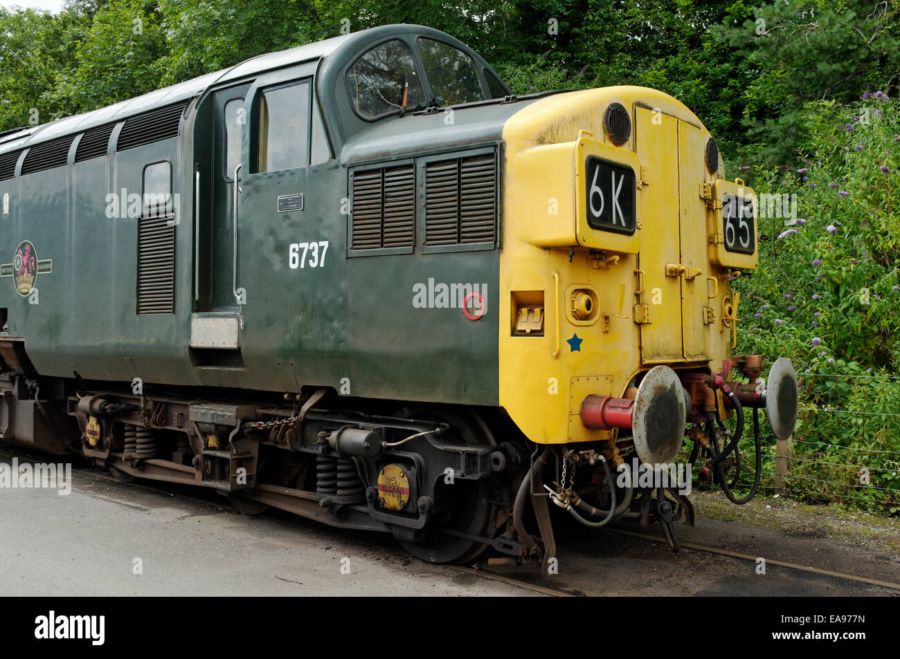 Ein 1962 English Electric Class 37 Co-co Diesellok an der South Devon Railway, Buckfastleigh, Devon, England. Stockfoto