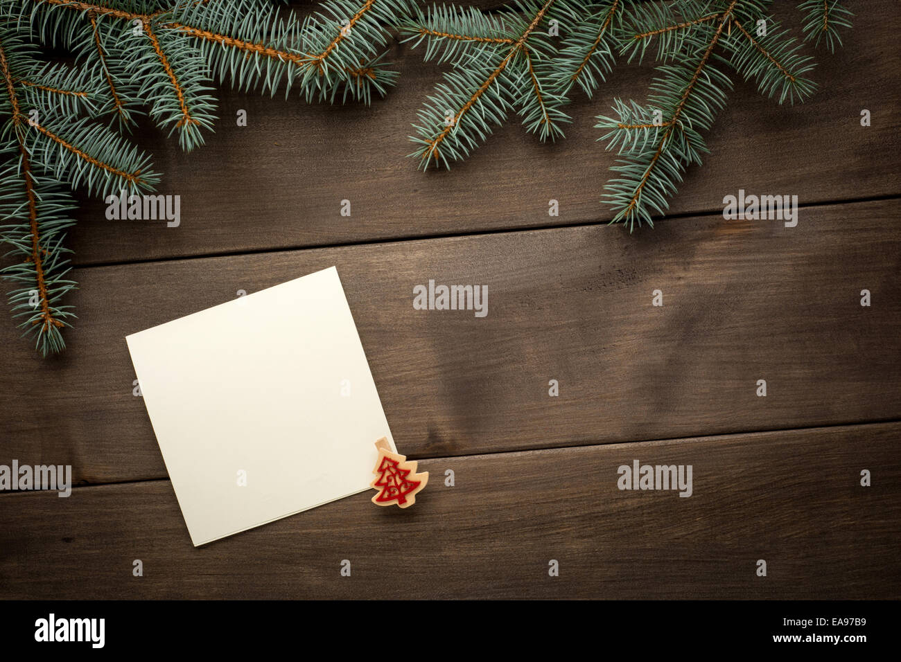 Weihnachts-Dekoration. Leere Schriftrolle für Text zwischen Tannengrün auf dunklen Stockfoto