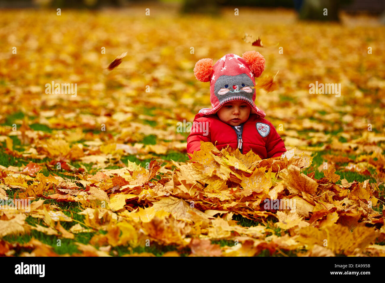 Kleines Baby im Herbst park Stockfoto