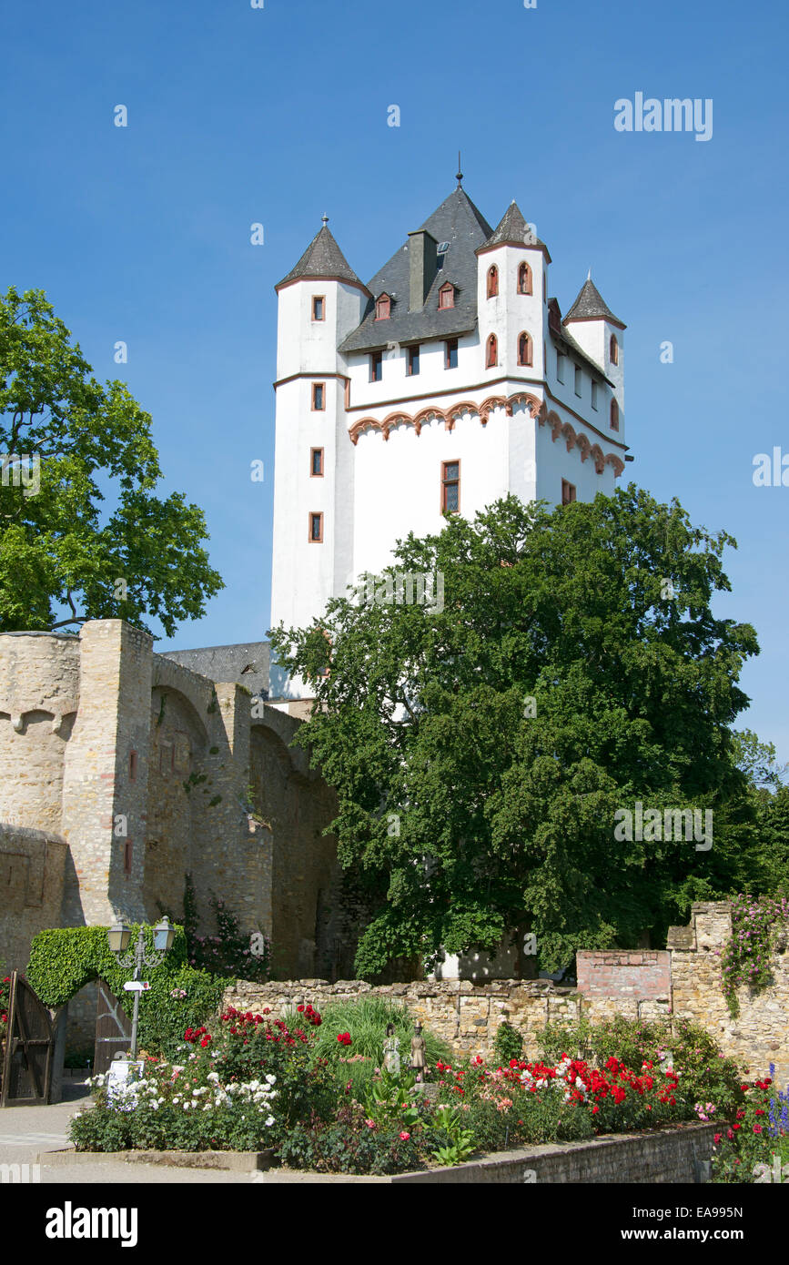 Altes rheinbett Fotos und Bildmaterial in hoher Auflösung Alamy