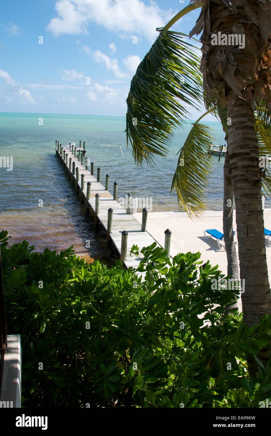Promenade in Pinien und Palmen, Islamorada, Florida Keys. Amerikanische Karibik. Stockfoto