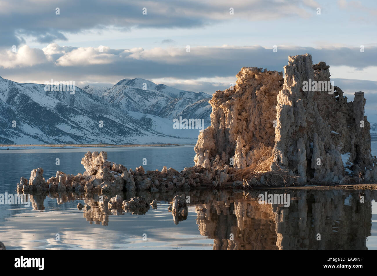 Tuffstein-Bildung am Mono Lake im winter Stockfoto