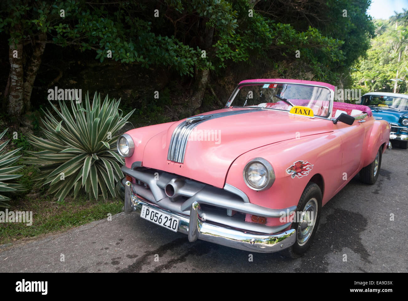 Ein rosa vintage1952 Pontiac Cabrio Tourist taxi warten Tarife in der Nähe von Havanna Kuba Stockfoto